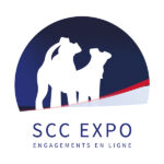 Scc expo exposition canine braque de weimar