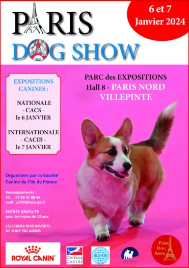 paris dog show 2024 braque de weimar